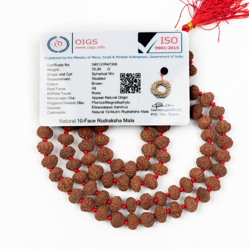 10 Mukhi Indonesian Rudraksha Mala 108+1 Beads |Spiritual Healing Necklace| Meditation Yoga Mala |Authentic Rudraksha Mala for Men & Women