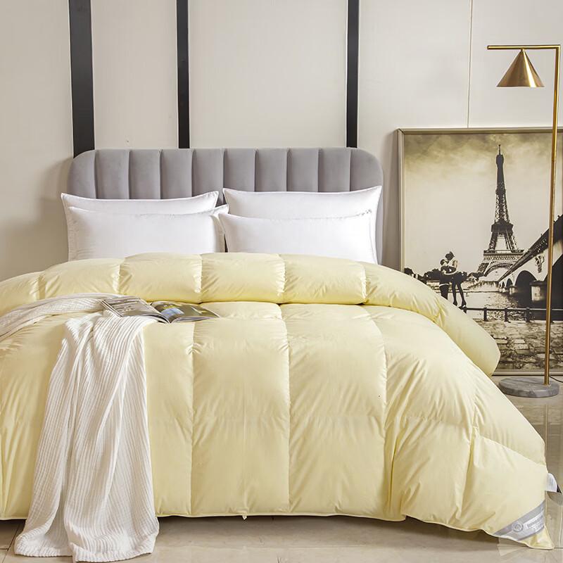 Brangdy Feather Velvet Winter Quilt