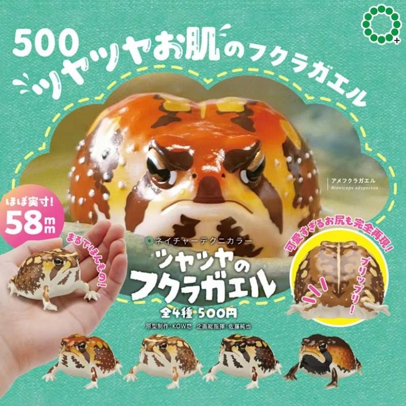 Genuine Ikimon Steamed Bun Frog Japanese Dart Capsule Toy Realistic Toad Figurine Animal Encyclopedia Desktop Collectible Gift