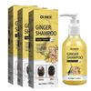 3pcs Ginger Plant Extract Anti-Hair Loss Hair Shampoo For Oil Control Hair Growth