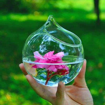 Hängende Kugel-Glas-Blumen-Pflanzgefäß-Vase, Terrarium-Behälter, Landschaftsflasche