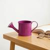 Colorful Iron Floral Container Metal Watering Can for Outdoor Plants, Small Kettle with Handle Decorative Plant Jug Succulents Garden Flowers,