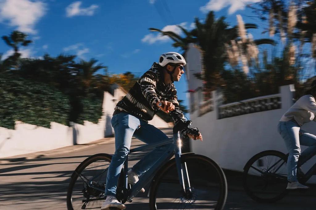 Electric Bicycle DERUIZ Turmali-Premium s 28"250W Motor City EBike ,58cm Frame, 360Wh Battery,Max  Range 110km Load 130kg