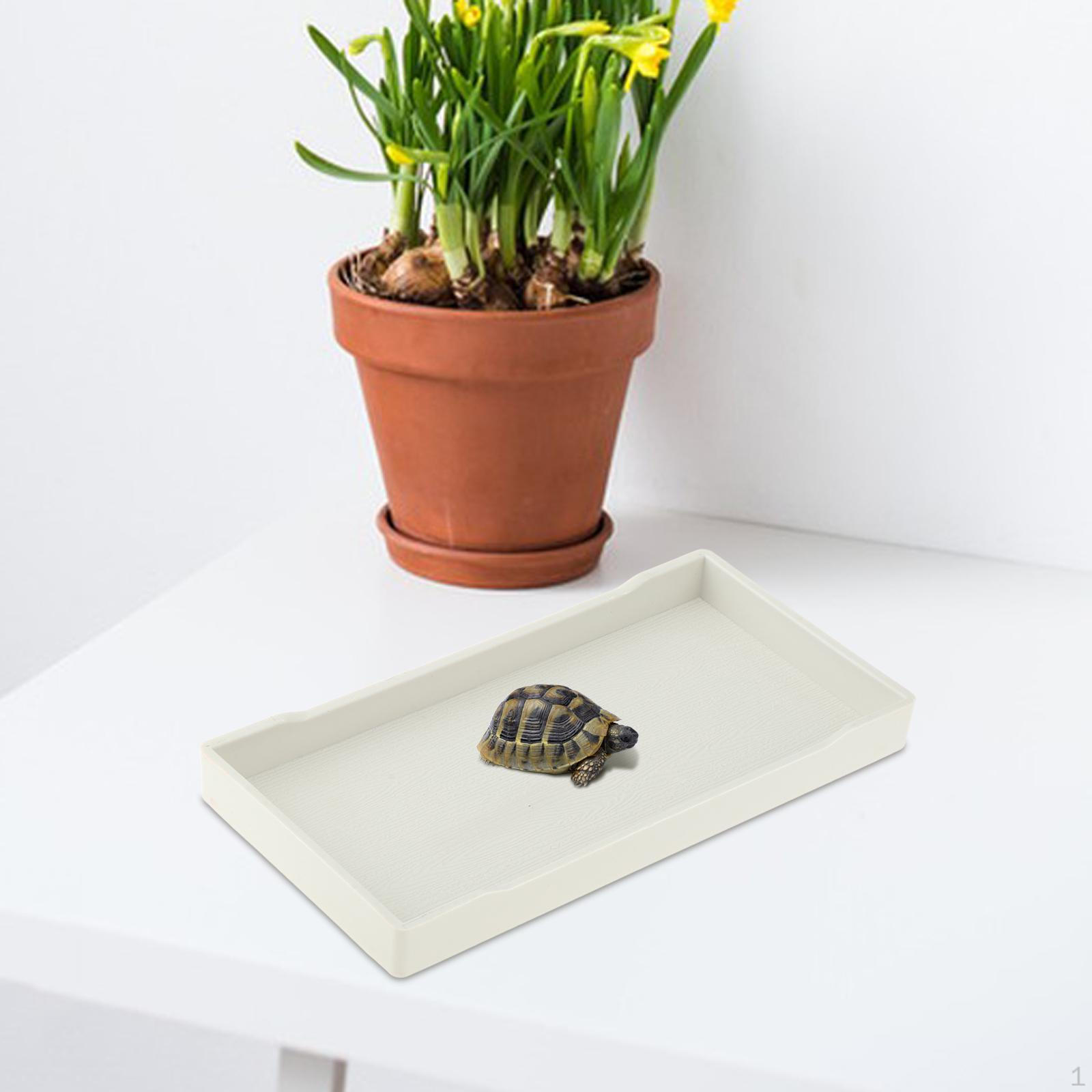 

Миска для воды для рептилий Кормление амфибий Аксессуары Декоративная кормушка Купание S белый