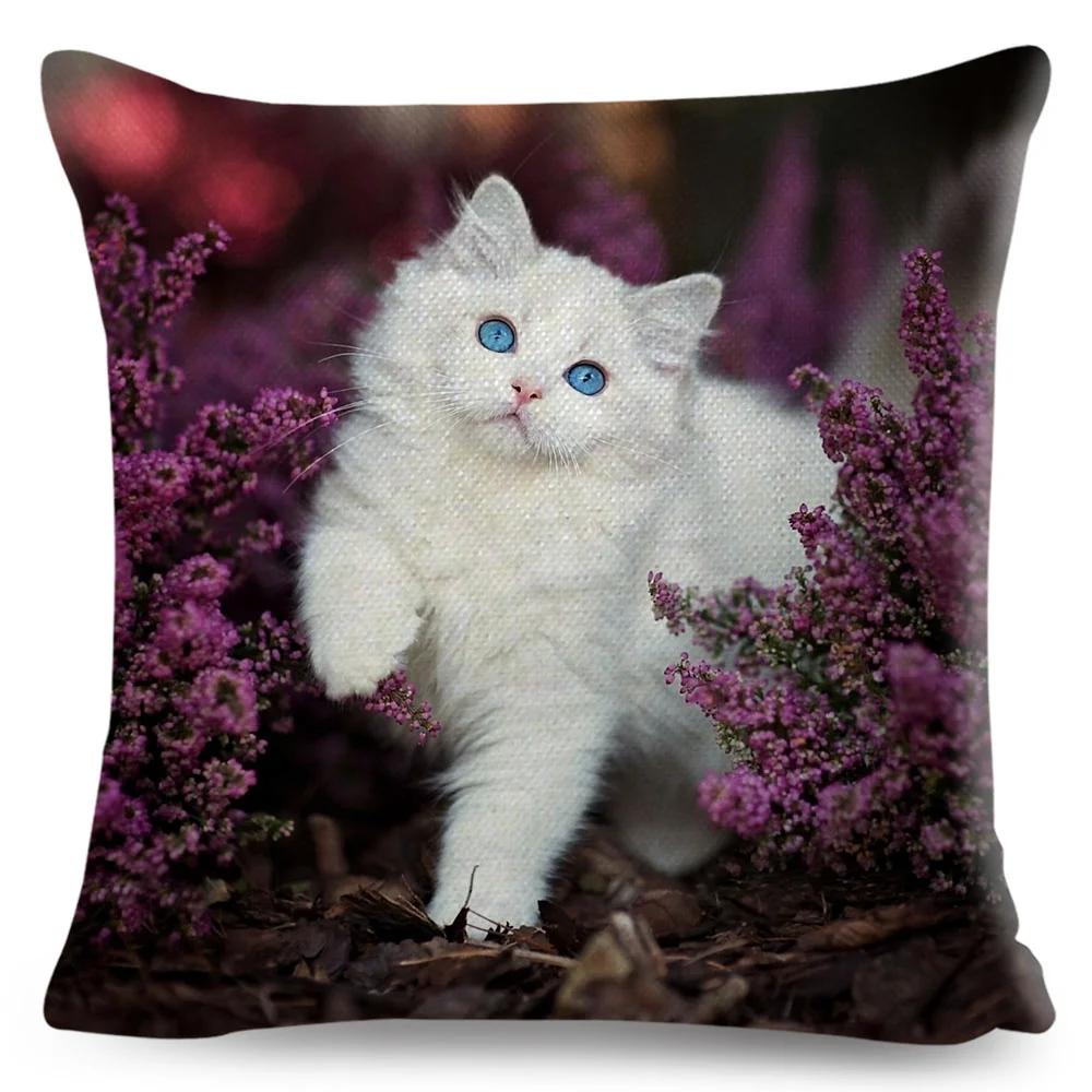 Funny Cute Cat Cushion Cover Decor Lovely Pet Animal Print Pillowcase Polyester Throw Pillow Case for Sofa Home Car 45x45cm