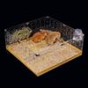 New Design DIY Clear Transparent Acrylic Small Animal  Pet Enclosure for Guinea Pig, Hamsters Expandable Cage for Hamsters