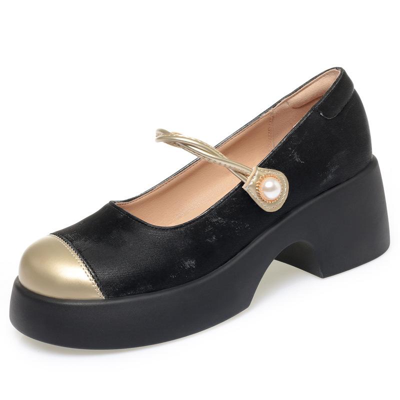 Autumn Shallow Mouth Mary Jane Shoes Soft Sole Thick Heel Retro Commuting All-match Round Head Women's Fashion Shoes