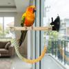 Bite Resistant Parrot Climbing Perch Suction Cup Hanging Bird Swing Bird Swing Toy  Bird Cages