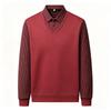 Men's Casual Loose Fit Faux Sweatshirt with Turn-Down Collar for Fall and Winter