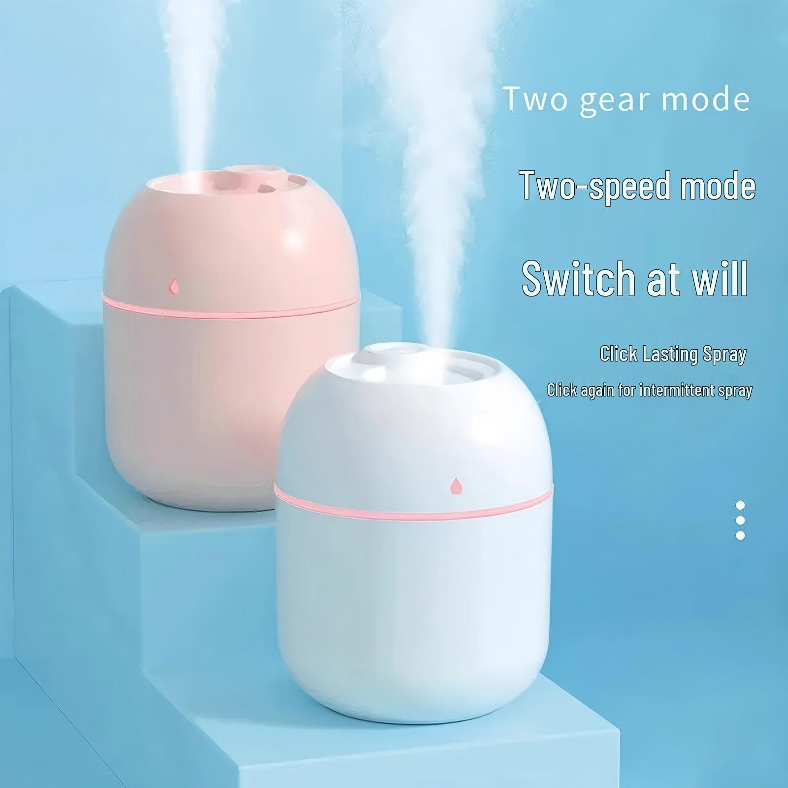 

Newcomer Special: Silent Nano Atomizer Humidifier for Home & Office