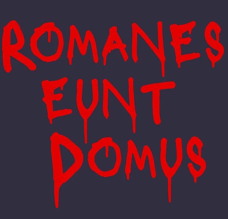 

Romanes Eunt Domus T-Shirt New 100% Cotton Short Sleeve O-Neck Casual Mens T-shirt Streetwear 3XL