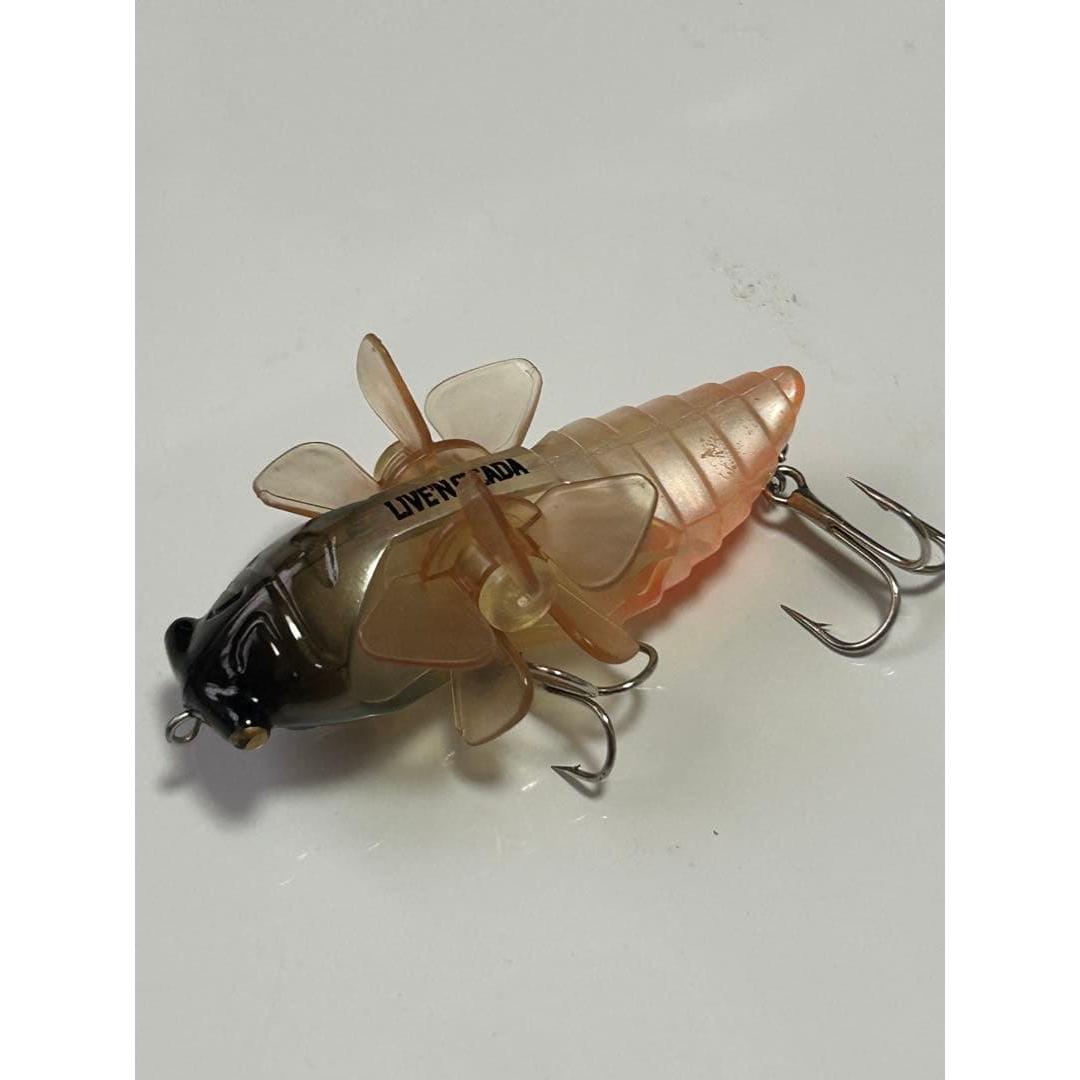 Used Daiwa Liven Cicada