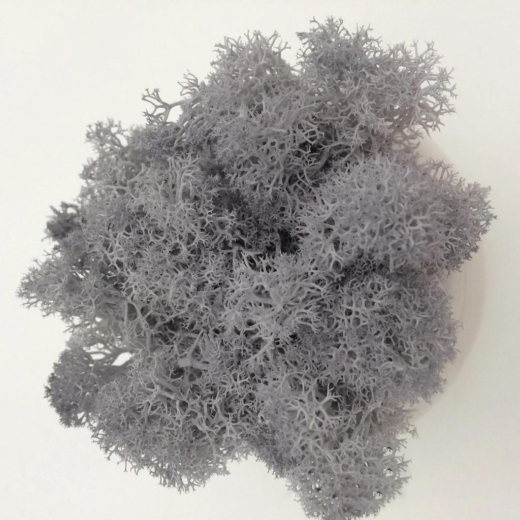 Handmade Artificial Plants Preserved Moss Simulation Fake Plant Garden Decor Landscape Wall Decor Home Decoration Accessories Gifts