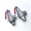 A28H-16 Spring-Loaded Safety Relief Valve