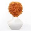 HAIRJOY Synthetic Hair Wig Brief In Panty & Stocking with Garterbelt Cosplay Wig Orange Short Curly Hair for Man Rose Net