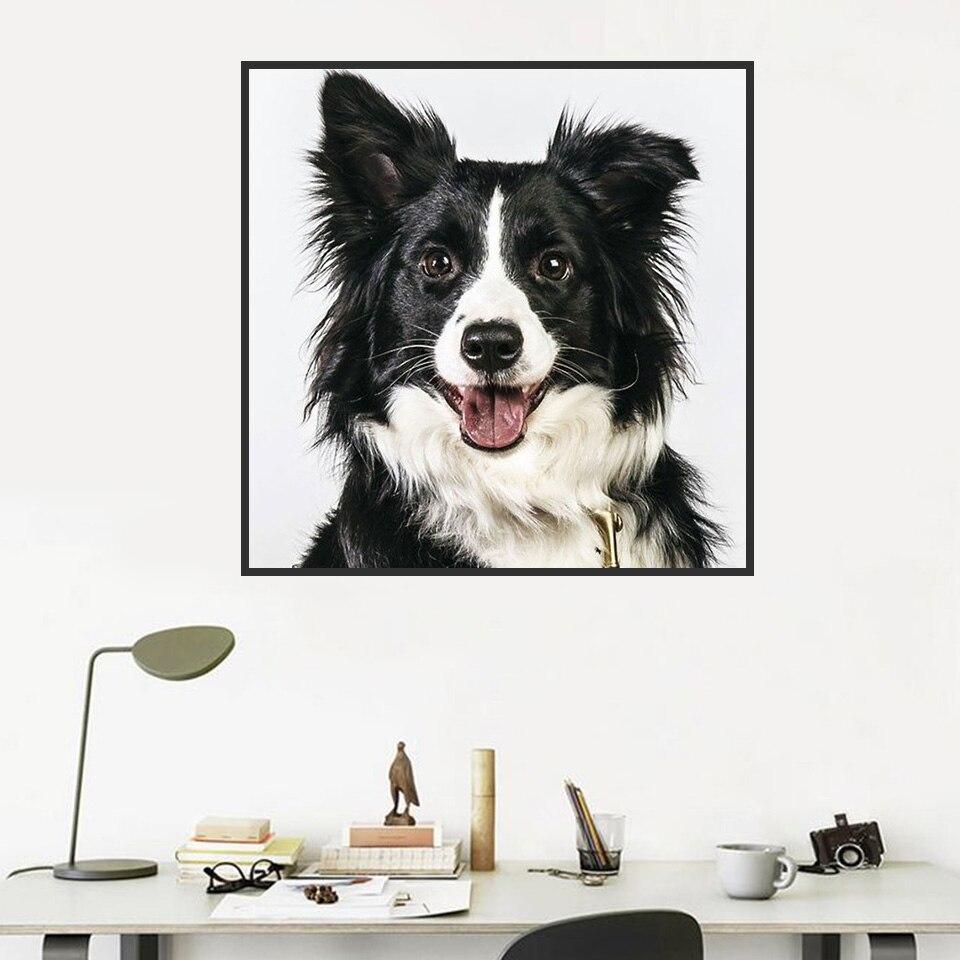 Diamond Painting Full Round Dog 5D DIY Diamond Embroidery Mosaic Animals Rhinestone Pictures Handmade Gift Home Decor
