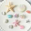 12Pcs Hawaiian Starfish Shoe Buckles Removable Shoe Accessories Diy Shoe Flower Women'S Beach Shoes Decorative Buckle Ornaments