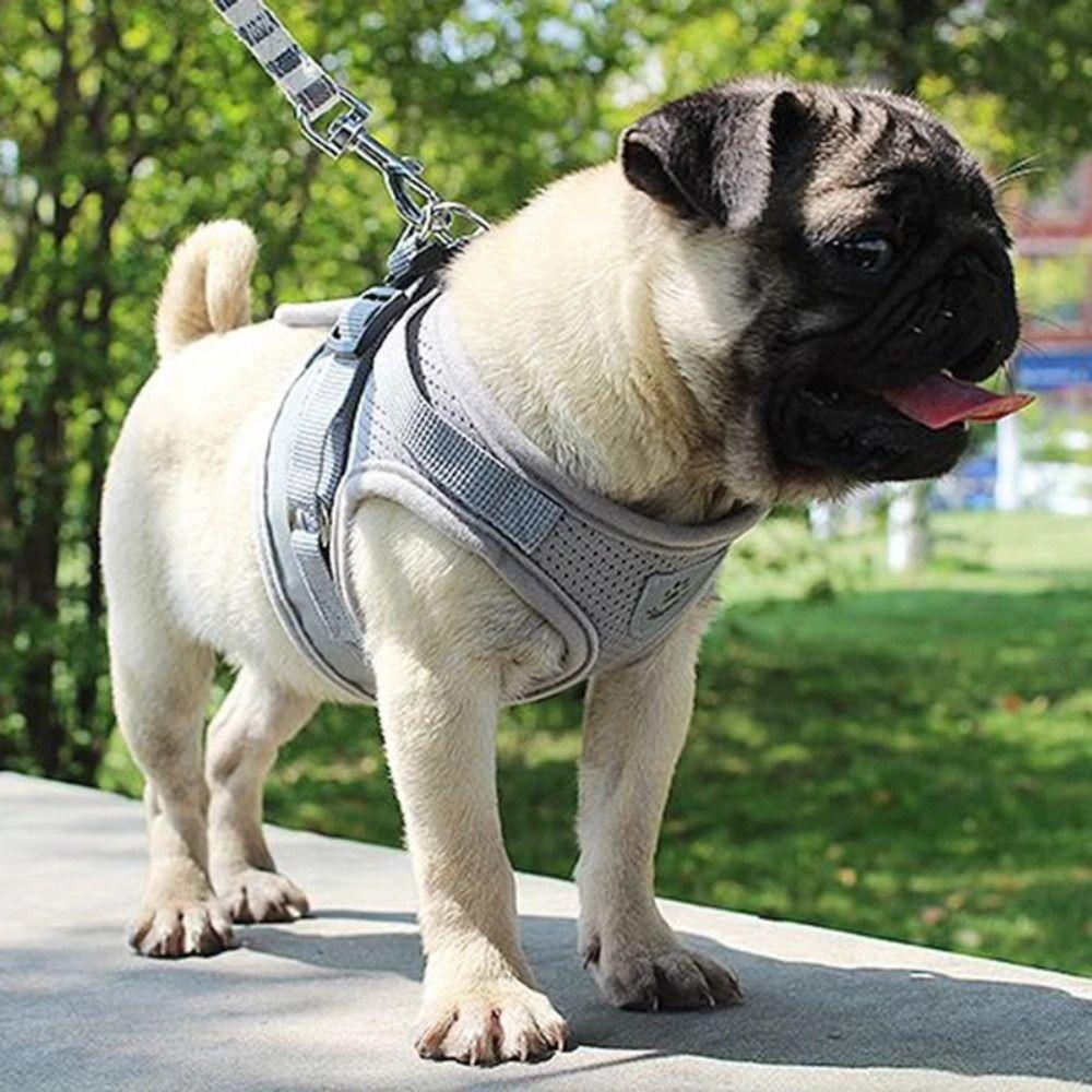 Polyester Pet Chest Strap Mesh Pet Vest Harness Dog Cat Accessories Cat Dog Harness  Pet