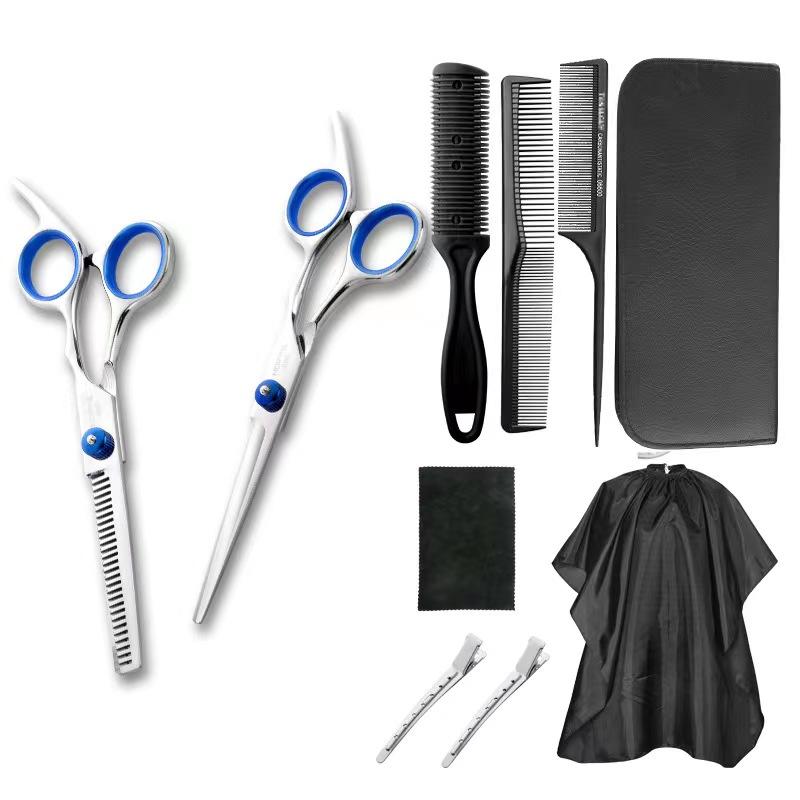 6 Inch Professional Hair Scissors Kit, Stainless Steel Barber Shears with Thinning Scissors