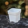 Self Watering Pots Watering Nursery Pot With Drainage Holes Translucent Plastic Planters Mini Flower Seedlings Pot