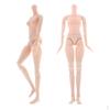 1/4 Jointed Female Doll For 42cm Replacement No Head X2