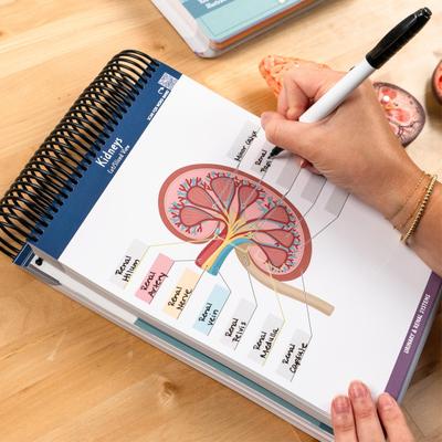 Anatomia Etiqueta Laboratório Caderno de Exercícios Ilustrações de Anatomia Humana Caderno de Exercícios Mais de 100 Páginas Coloridas para Apagar a Seco Recurso Educacional para Estudantes Profissionais