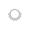 ASTM F136 Titanlegierung Mode Piercing Schmuck Mehrere Stile für Ohrbrücke, Brustwarzen-Barbell, Nasenring | Festival & Party