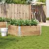 Plant Box 100x100 cm Solid Pine Wood