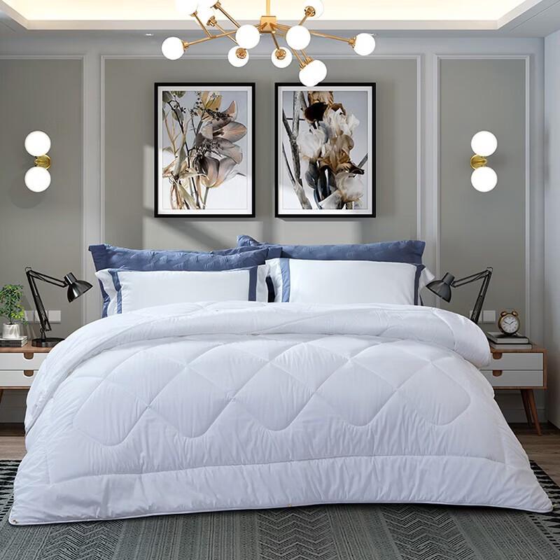 FUANNA Warm Winter Thick Quilt