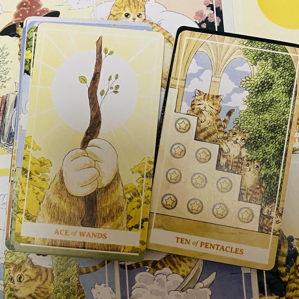 Sunny Orange Cat Tarot Deck 78PCS English Cute Kitten Tarot Cards Divination Edition Deck Borad for Cat Lovers