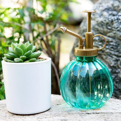 Novelty Antique Plant Flower Watering Pot Spray Bottle Garden Hairdressing Sprayer