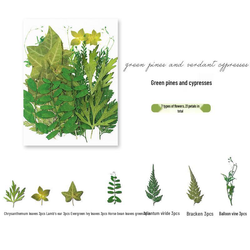 Handmade Resin Pressed Flower Bookmark DIY Kit: Transparent Specimen Stickers & Dried Flowers for Students
