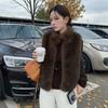 New Imitation Fur Vest Women's Short Sleeveless Stand-up Collar Fur Coat Autumn and Winter Warm Versatile Vest