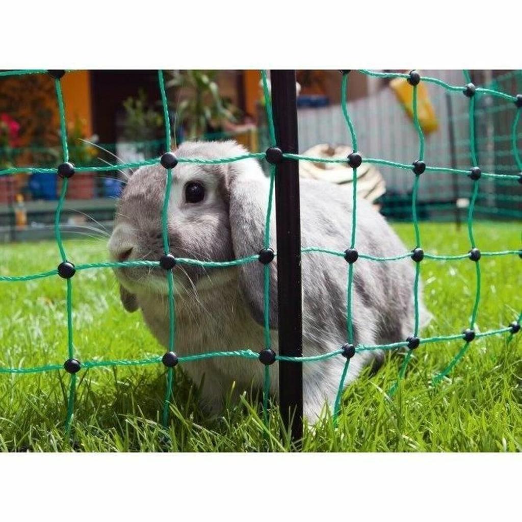 Safety Net for Pets Kerbl Green