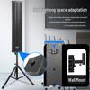 SAST Professional Conference Audio System CN plug (adapter included)
