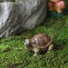 Micro Landscape Turtle Figurines Waterproof Resin Miniature Ornaments Realistic Turtle Statue for Fish Tanks Potted Plants Moss Gardens