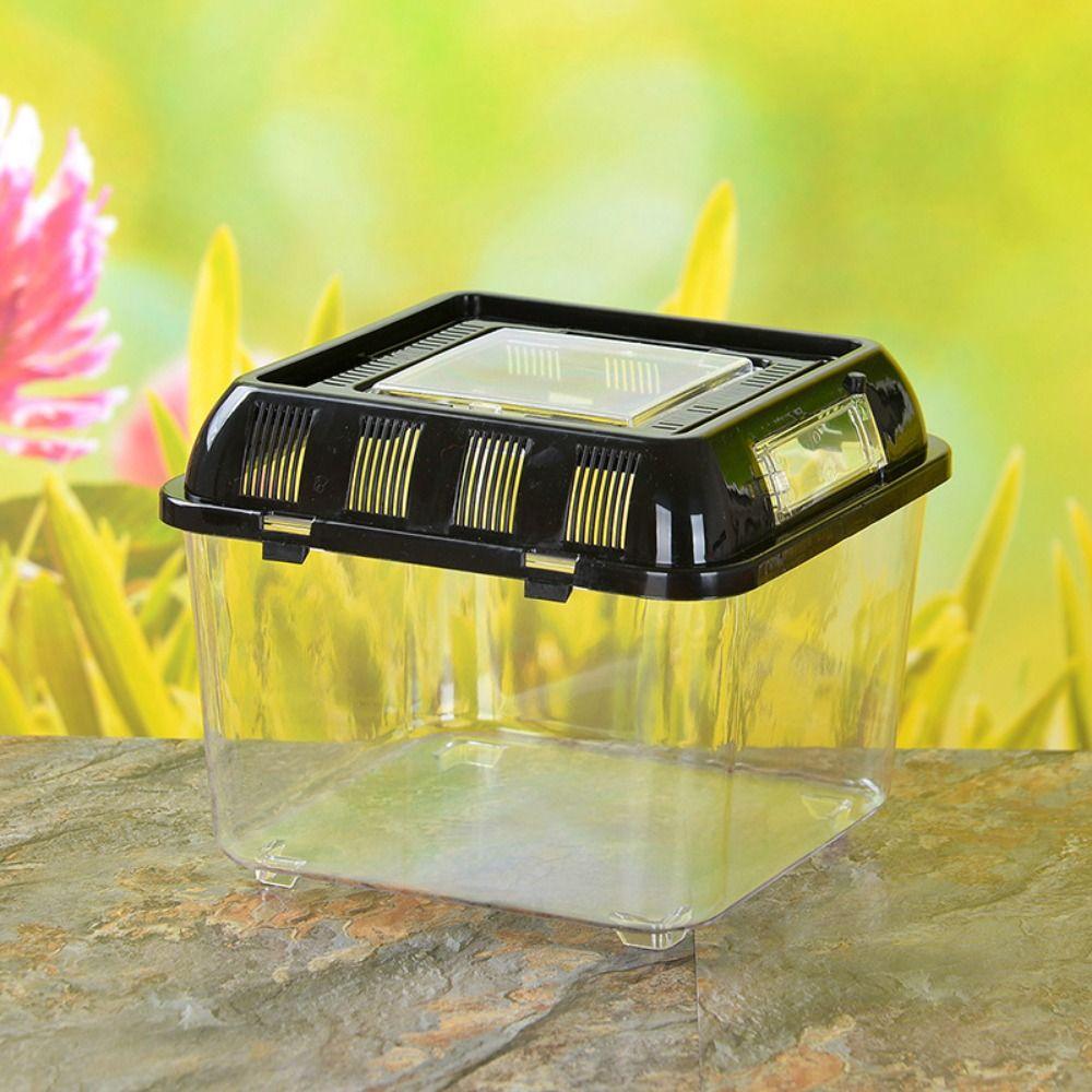 Plastic Fish Bowl Handheld Reptile Carrier Peractical Portable Fish Tank  Aquarium