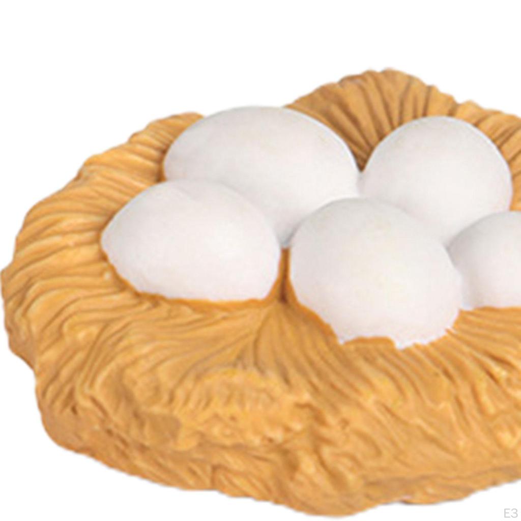 Educational Goose Life Cycle Discovery Kit for Young Explorers