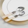 Retro High-End 304 Stainless Steel & Acrylic Cutlery Set: Knife, Fork, Spoon, Dessert Fork, Spoon