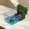 Aquarium for Small Reptiles with Terrapin Breeding Box