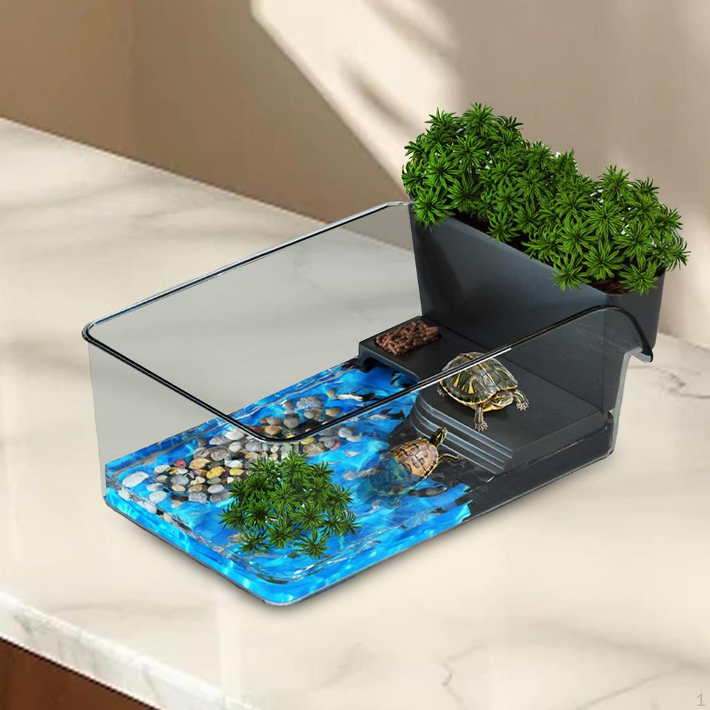 Aquarium for Small Reptiles with Terrapin Breeding Box