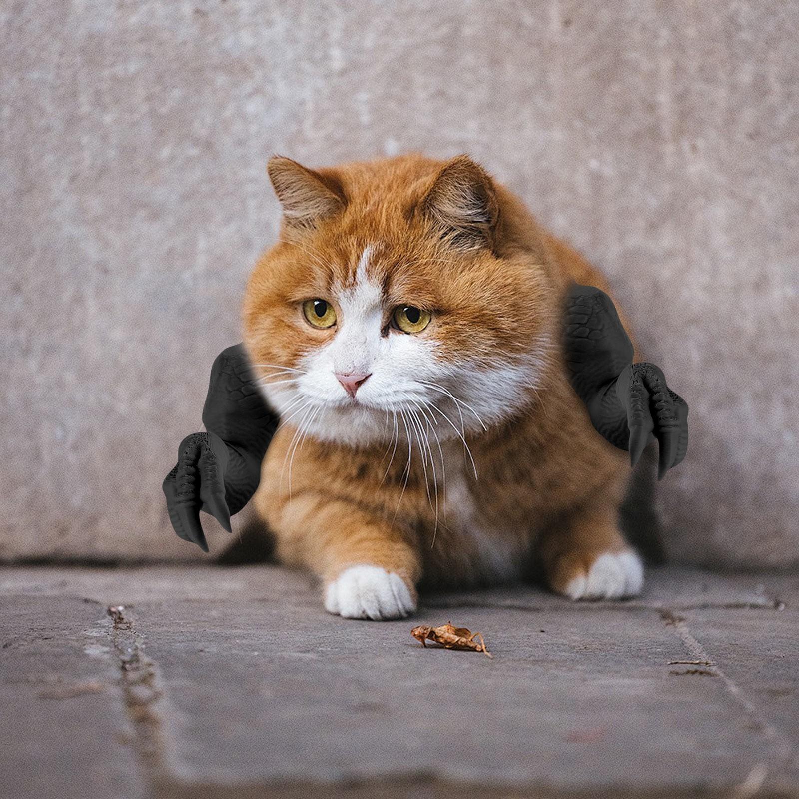 

3D-печатная кошка на шею, на руку, мышцы, украшение для питомца, повязка на шею, на руку One Size