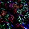 Fluorescent Balloons Glow Balloons Light-absorbing Pattern