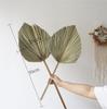 High-End Wabi-Sabi Dried Flower Decor: Natural Reeds & Wheat for Living Room or Homestay.