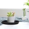 OUNONA Pot Flower Pot Planter Plastic Outer Diameter Shallow Interior Pack of 10 Saucer, Saucer, Saucer, Tray, Plate, 30cm, Plate, Decoration, Black,