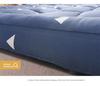 Three-Dimensional Feather Velvet Dormitory Tatami Mattress Topper