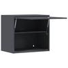 Wall Mounted Garage Cabinet with Gas Spring Door Anthracite