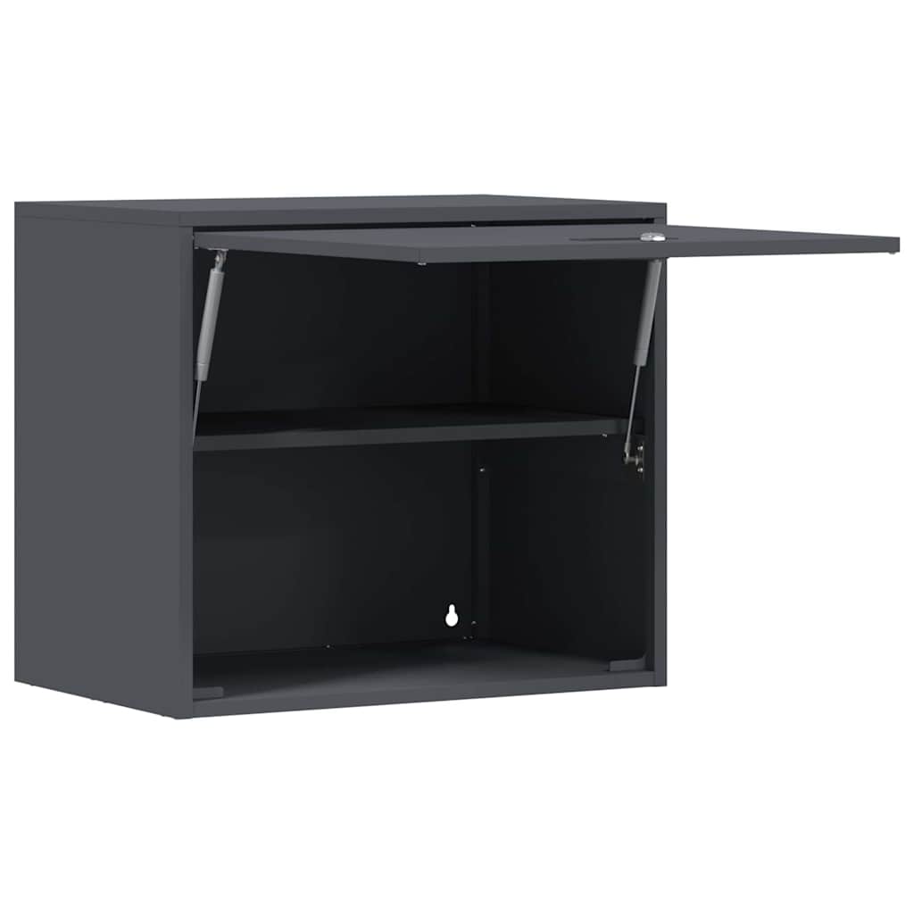 Wall Mounted Garage Cabinet with Gas Spring Door Anthracite