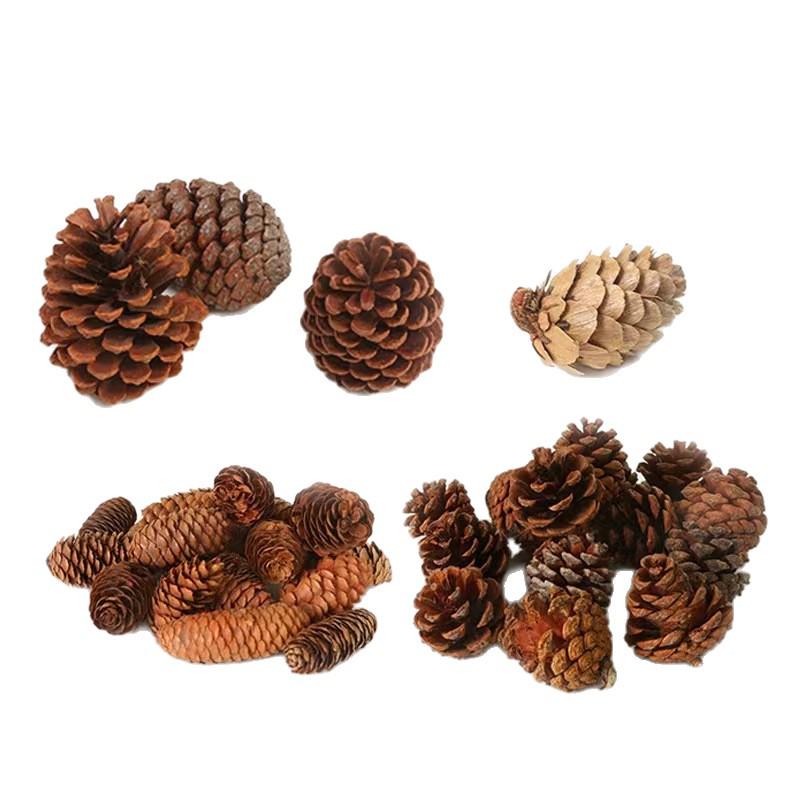 Christmas Pine Cones & Dried Flowers Pack - Eucalyptus, Pine Wood, Cotton, Handmade Photography Props