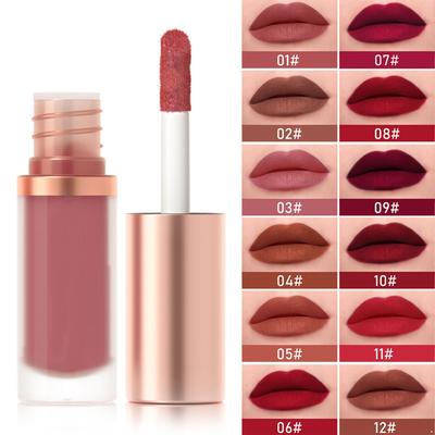 Long Lasting Matte Lip Gloss, Velvet Finish Waterproof Lipstick for Women, Rich Pigment Non-Stick Wear for Holidays and Daily Use